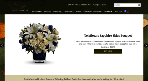 trilliumfloristcanada.com