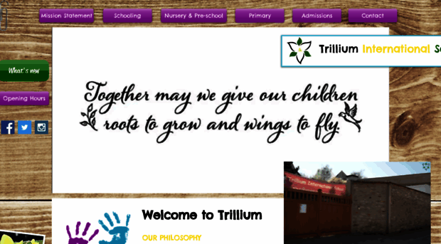 trilliuminternationalschool.com