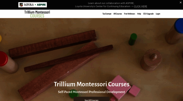 trilliummontessori.teachable.com