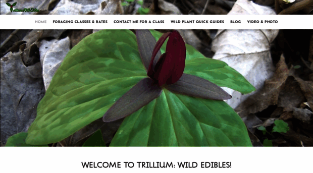 trilliumwildedibles.com