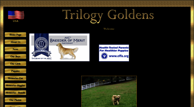 trilogygoldens.com