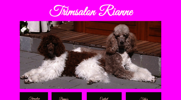 trimsalonrianne.com