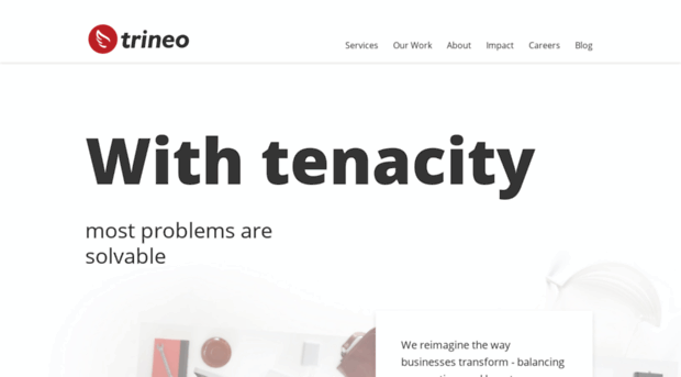 trineo.com