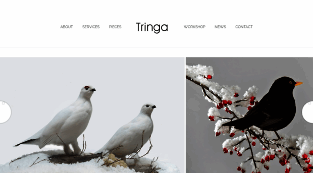 tringa.co