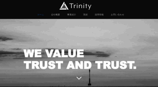 trinity-info.com