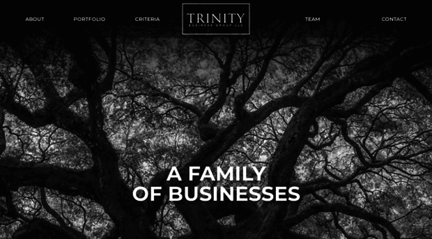 trinitybusinessgroup.net