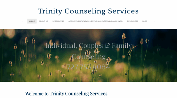 trinitycounselingservices.com