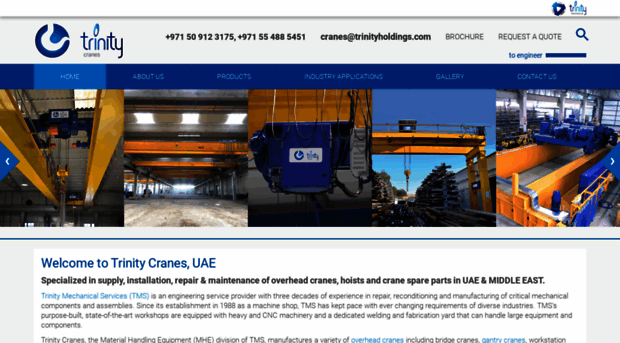 trinitycranes.com