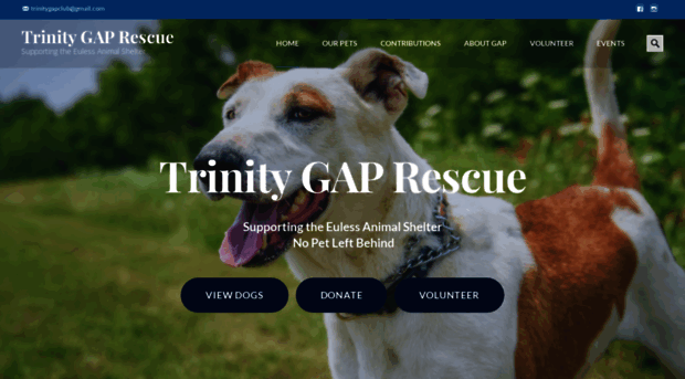 trinitygaprescue.org