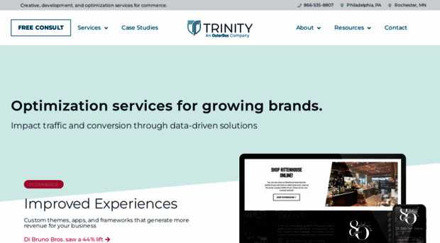 trinityinsight.com