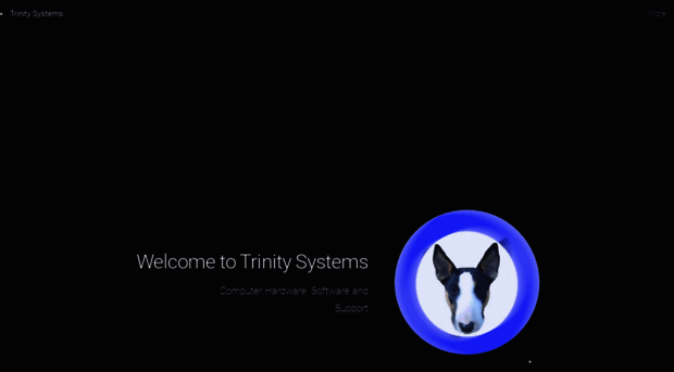 trinitysystems.co.za