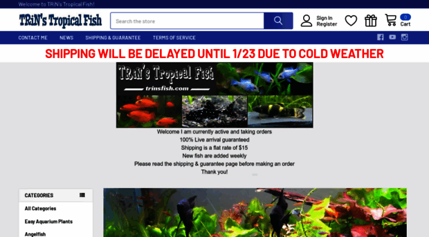 trinsfish.com
