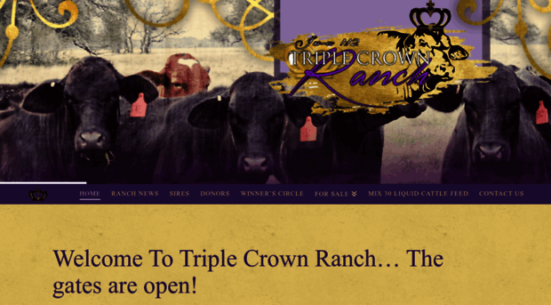 triplecrownranch.net