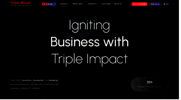 tripleminds.co