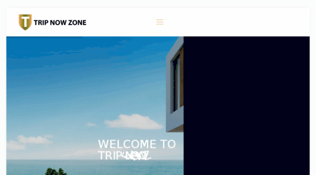 tripnowzone.com