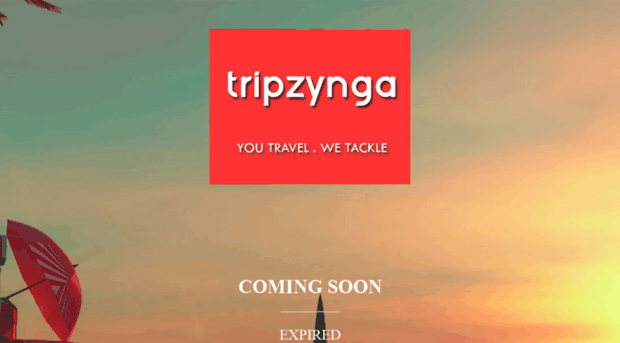 tripzynga.com