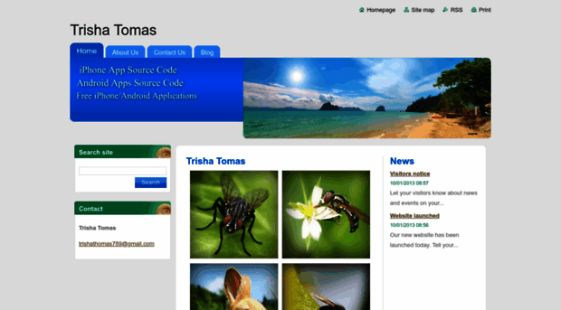 trisha-thomas.webnode.com