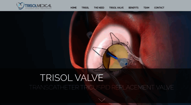 trisol-medical.com