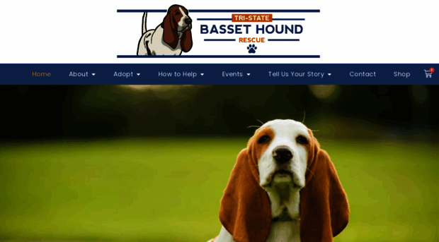 tristatebassets.org