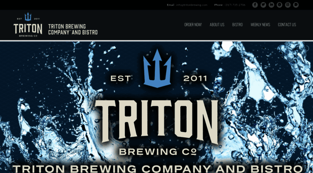 tritonbrewing.com