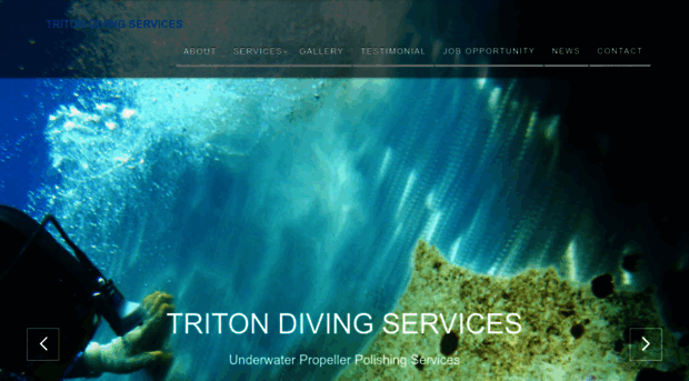 tritondivingservices.com