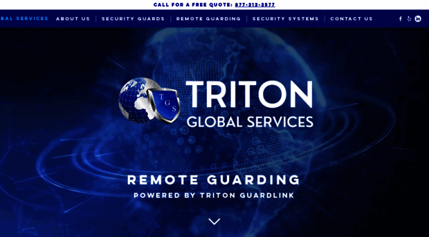 tritonglobalservices.com