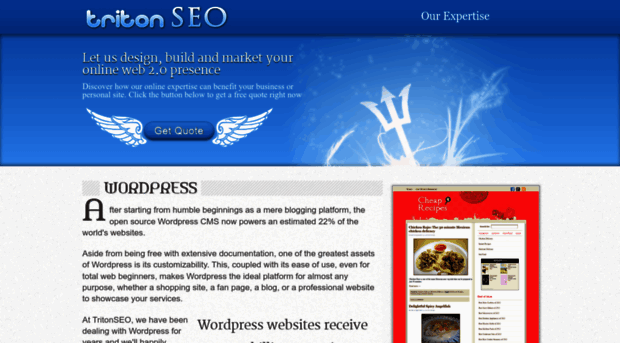 tritonseo.com