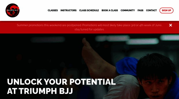 triumphbjj.com