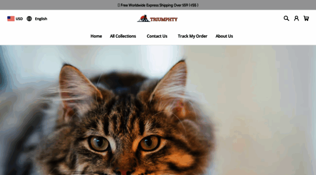 triumphty.com