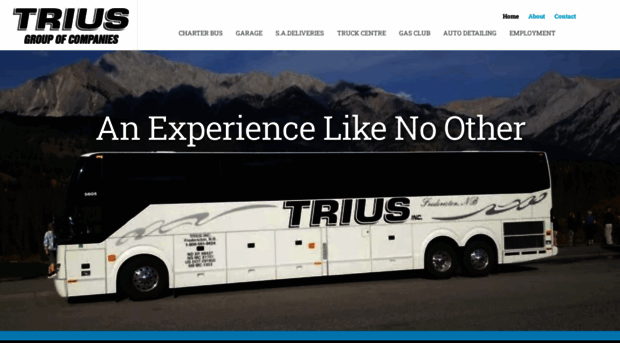 triusgroup.com