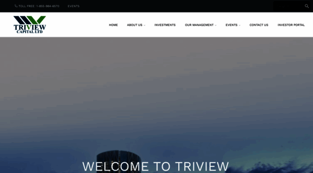 triviewcapital.com