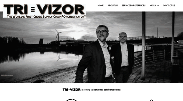 trivizor.com