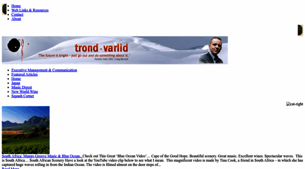 trondvarlid.com