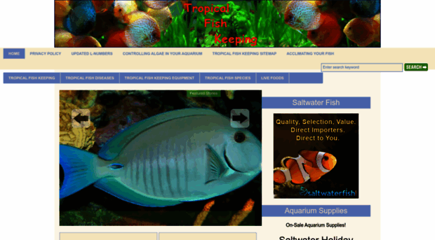 tropical-fish-keeping.com