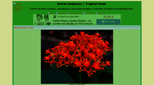 tropical.forumactif.com