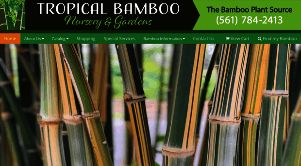 tropicalbamboo.com
