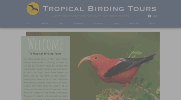 tropicalbirding.com