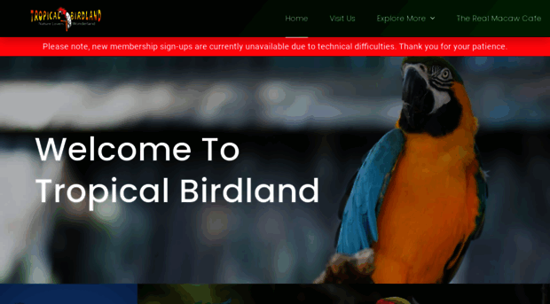 tropicalbirdland.com