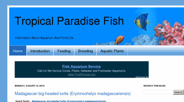 tropicalparadisefish.com