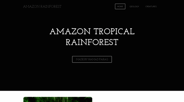 tropicalrainfore.weebly.com