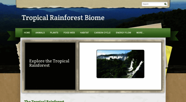 tropicalrainforestscience10.weebly.com