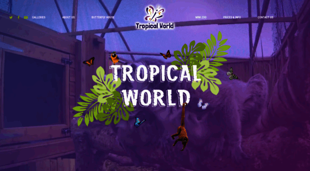 tropicalworld.ie