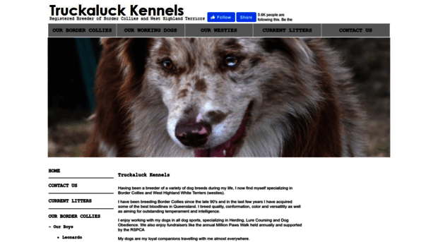 truckaluckkennels.com