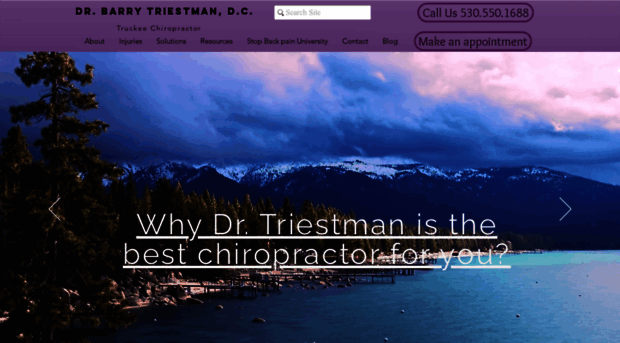 truckeechiropractor.com