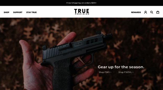 true-precision.com