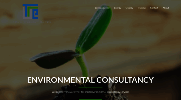 true-solutions.co.uk