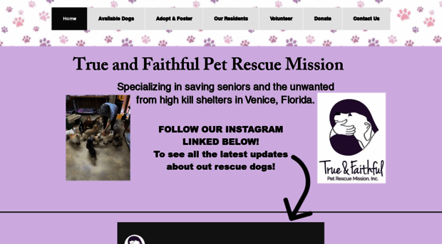 trueandfaithfulpetrescuemission.org