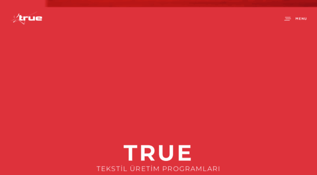 truebilisim.com