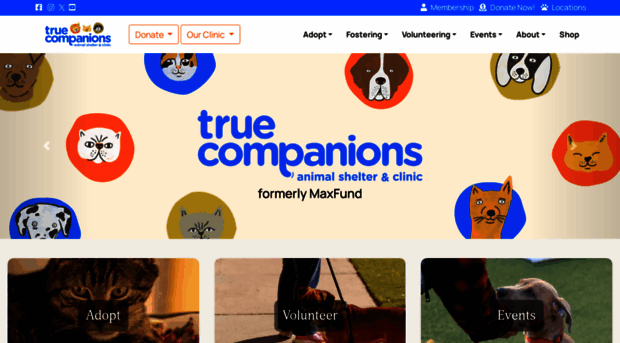 truecompanions.org