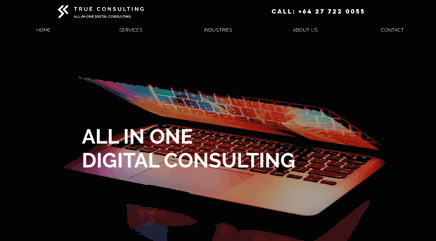 trueconsulting.co.nz